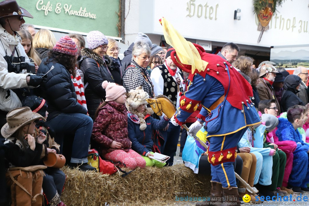 VSAN-Landschaftstreffen: Bad-Waldsee, 28.01.2018