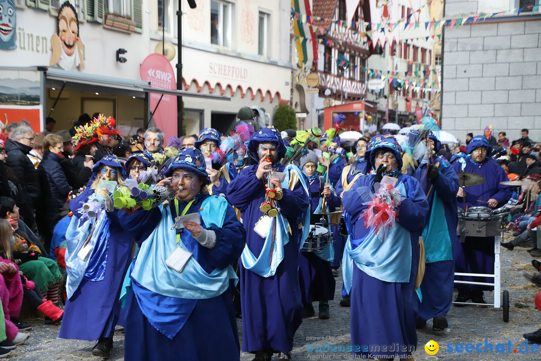 VSAN-Landschaftstreffen: Bad-Waldsee, 28.01.2018