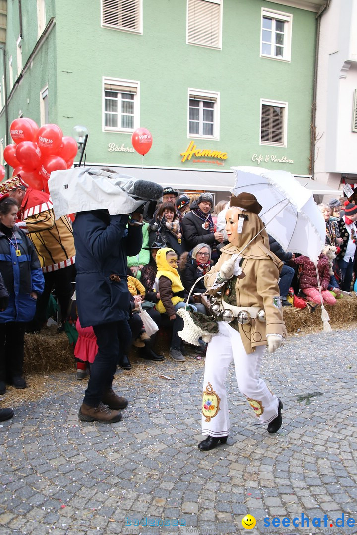 VSAN-Landschaftstreffen: Bad-Waldsee, 28.01.2018