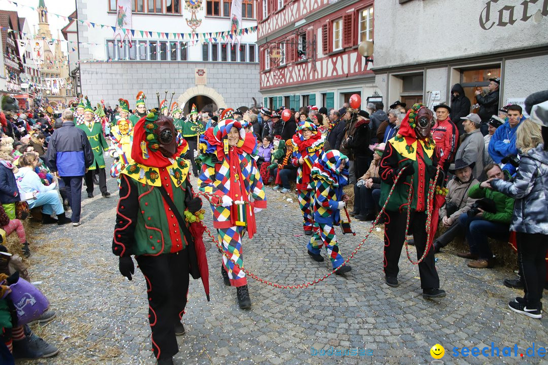 VSAN-Landschaftstreffen: Bad-Waldsee, 28.01.2018