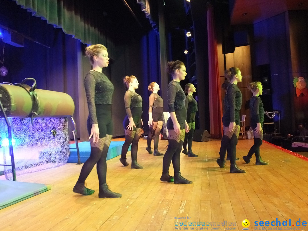Bandscheibenball 2018: Bad Buchau am Bodensee, 02.02.2018