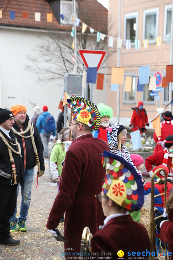 Narrenbaumstellen: Markdorf am Bodensee, 03.02.2018