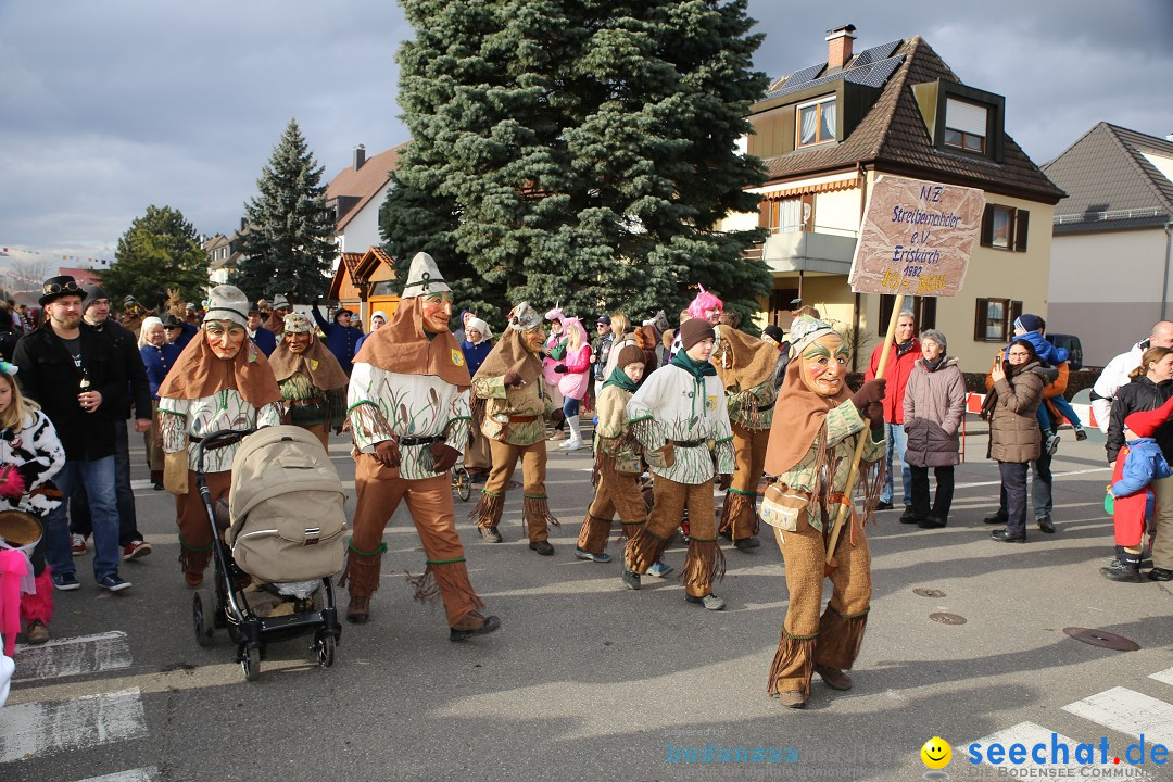 Fasnetsumzug - Fasching: Fischbach am Bodensee, 02.02.2018