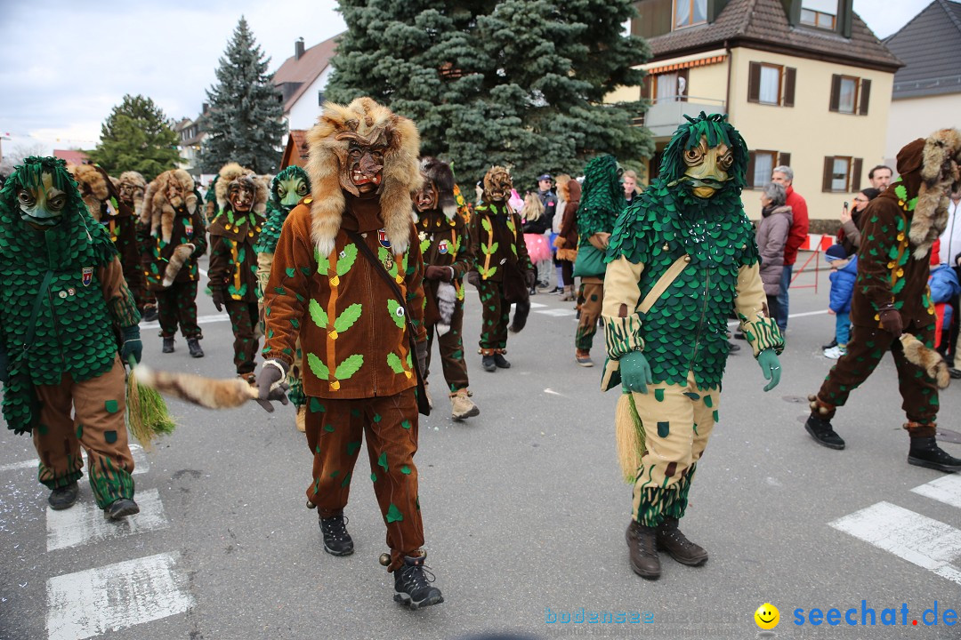 Fasnetsumzug - Fasching: Fischbach am Bodensee, 02.02.2018