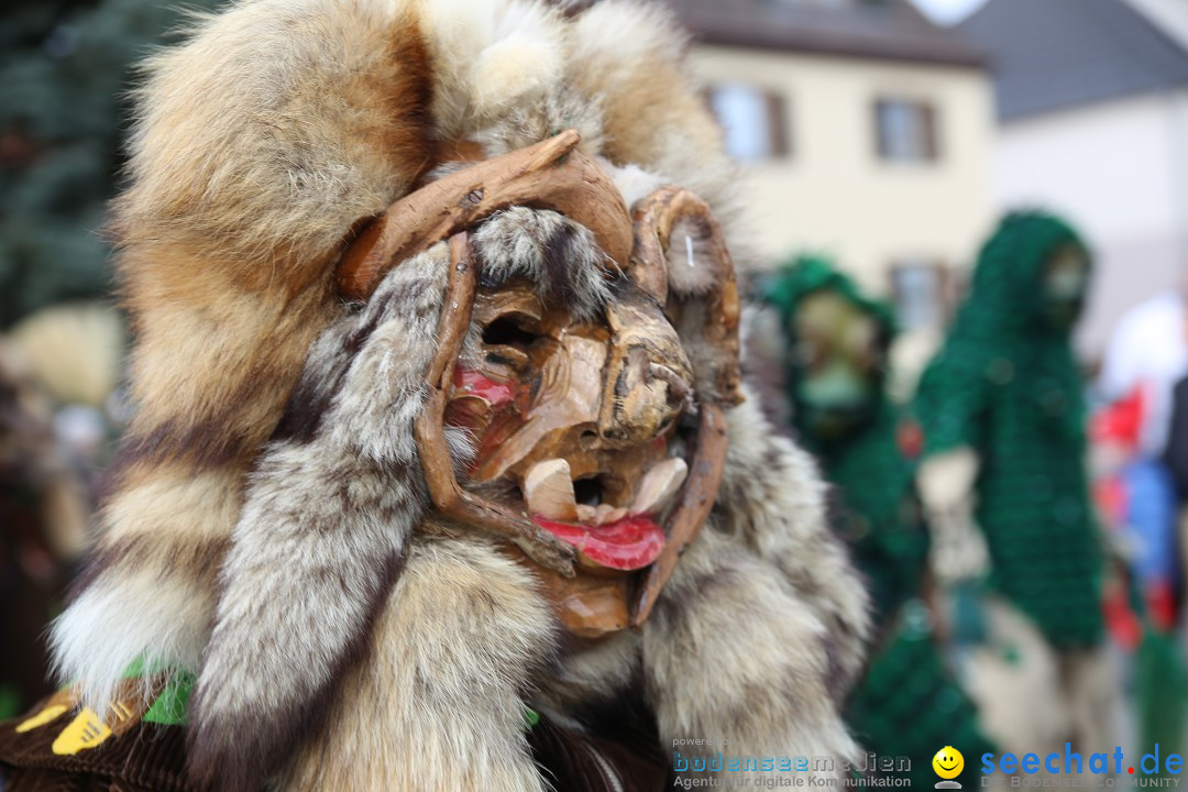 Fasnetsumzug - Fasching: Fischbach am Bodensee, 02.02.2018