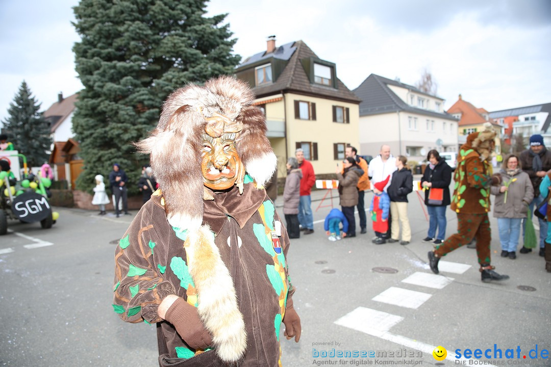 Fasnetsumzug - Fasching: Fischbach am Bodensee, 02.02.2018