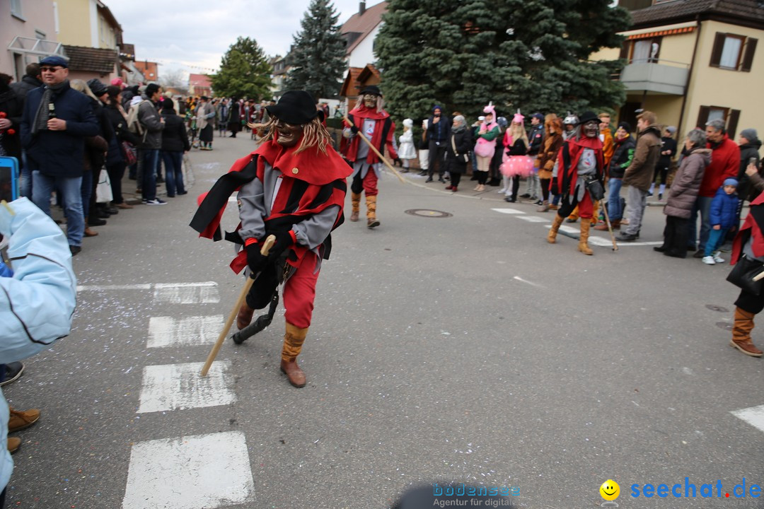 Fasnetsumzug - Fasching: Fischbach am Bodensee, 02.02.2018