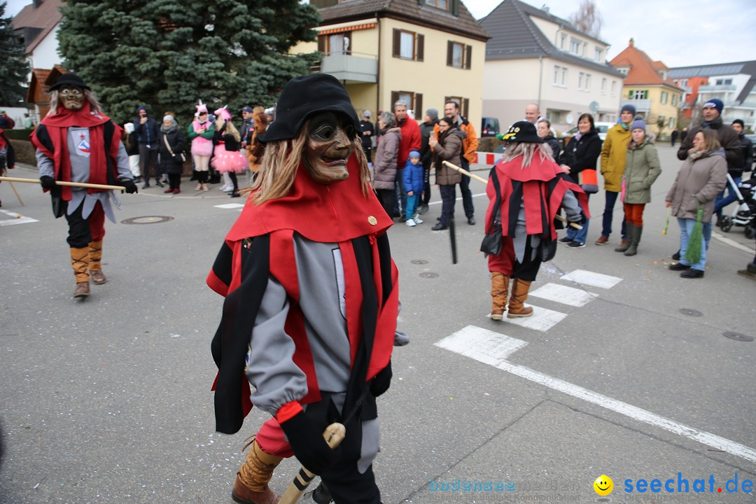 Fasnetsumzug - Fasching: Fischbach am Bodensee, 02.02.2018
