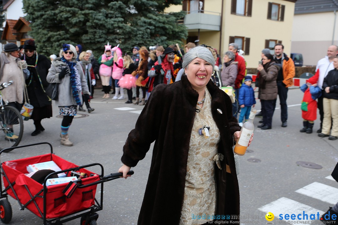 Fasnetsumzug - Fasching: Fischbach am Bodensee, 02.02.2018