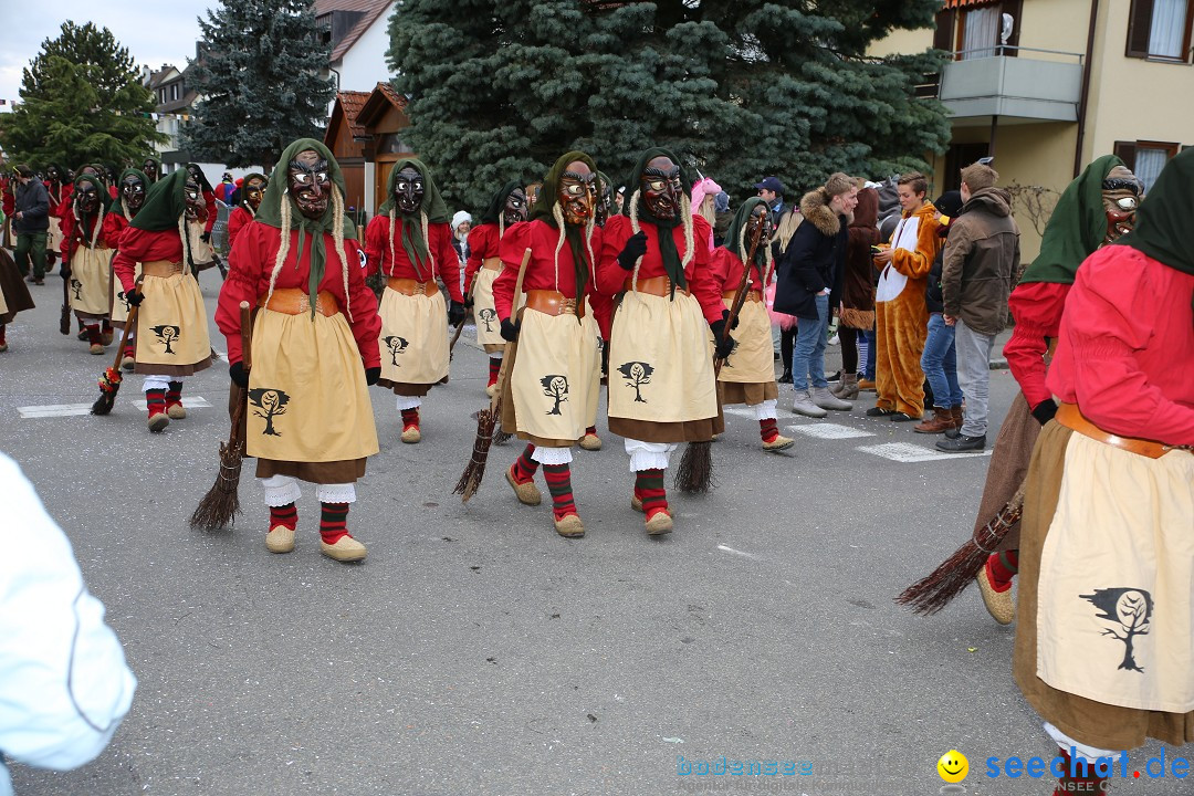 Fasnetsumzug - Fasching: Fischbach am Bodensee, 02.02.2018