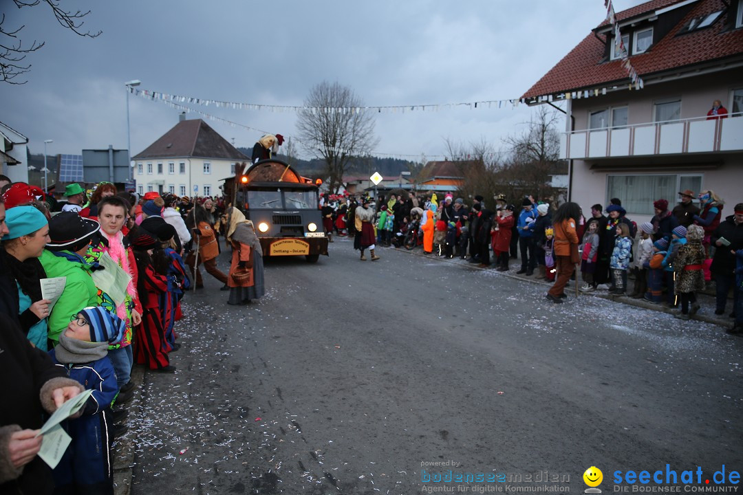 Fasnetsumzug - Fasching: Obereisenbach am Bodensee, 03.02.2018