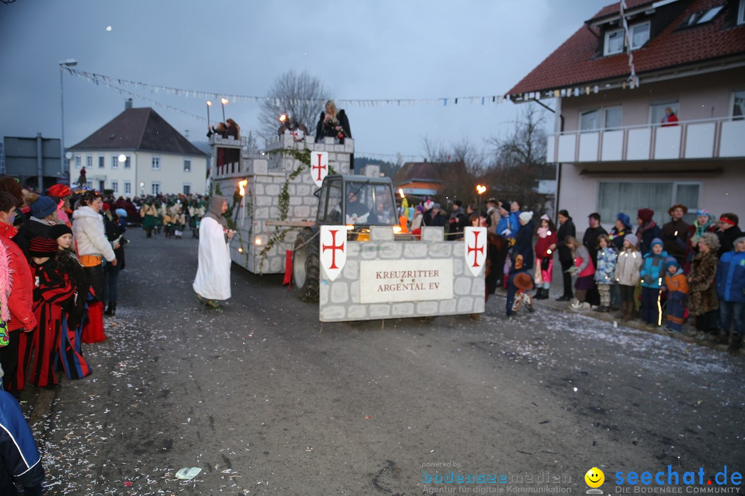 Fasnetsumzug - Fasching: Obereisenbach am Bodensee, 03.02.2018