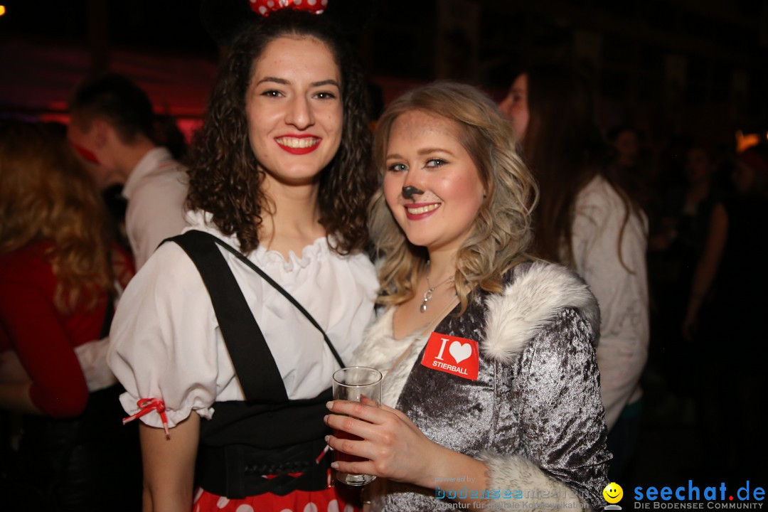 STIERBALL 2018: Party-Band HEAVEN: Wahlwies am Bodensee, 09.02.2018