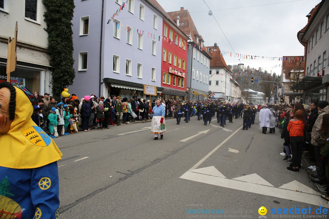 Tuttlinger Fasnetumzug: Tuttlingen am Bodensee, 10.02.2018