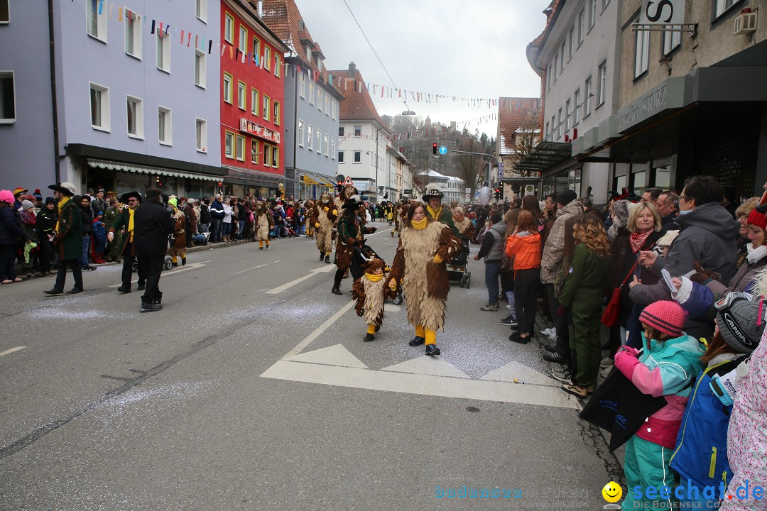 Tuttlinger Fasnetumzug: Tuttlingen am Bodensee, 10.02.2018