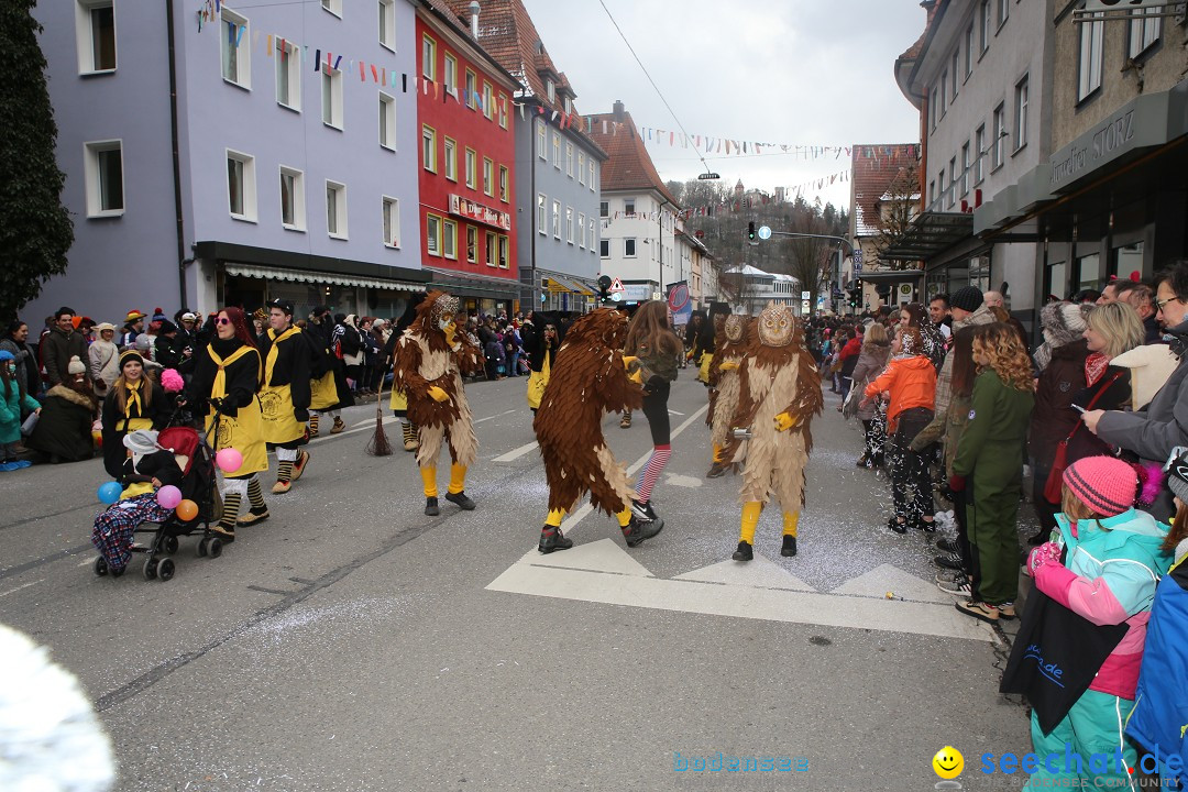 Tuttlinger Fasnetumzug: Tuttlingen am Bodensee, 10.02.2018