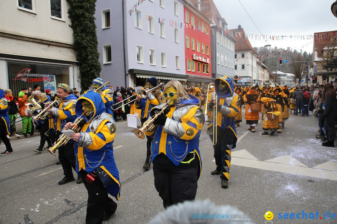 Tuttlinger Fasnetumzug: Tuttlingen am Bodensee, 10.02.2018