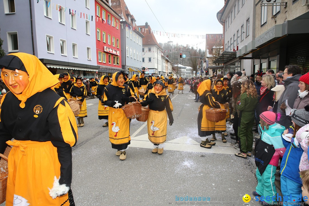 Tuttlinger Fasnetumzug: Tuttlingen am Bodensee, 10.02.2018