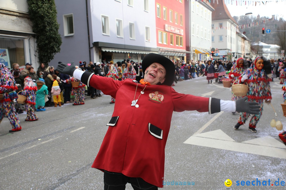 Tuttlinger Fasnetumzug: Tuttlingen am Bodensee, 10.02.2018