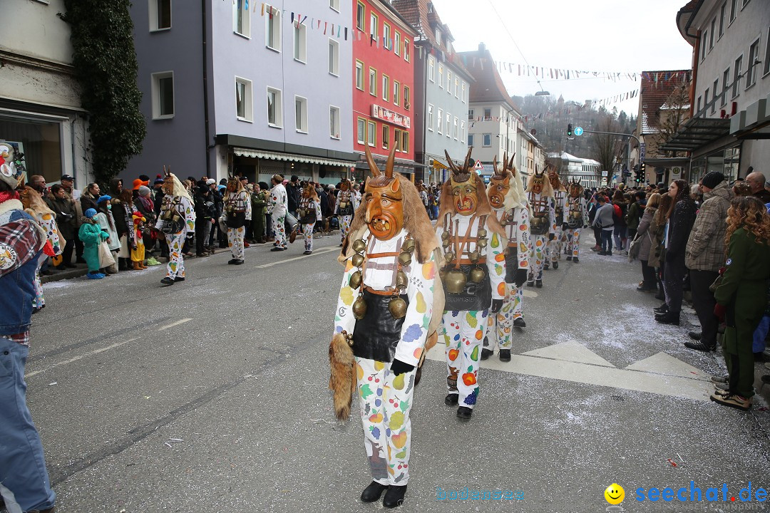 Tuttlinger Fasnetumzug: Tuttlingen am Bodensee, 10.02.2018