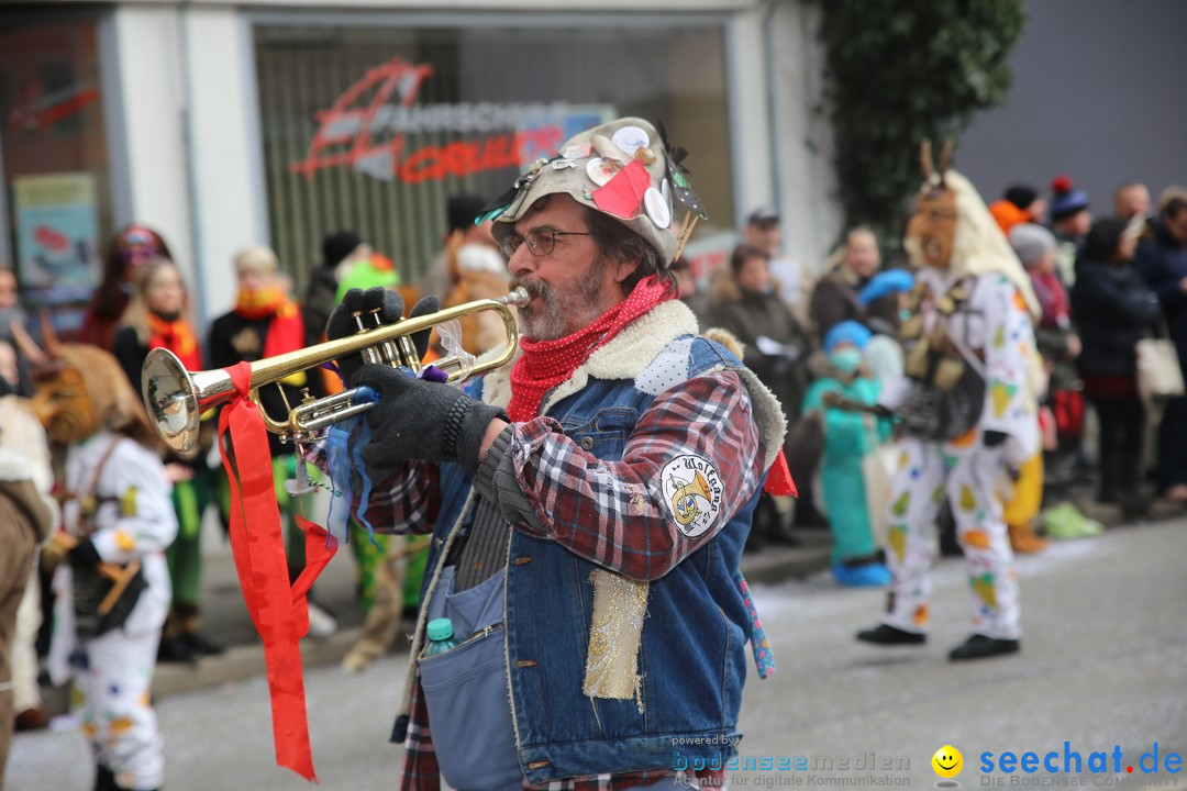 Tuttlinger Fasnetumzug: Tuttlingen am Bodensee, 10.02.2018