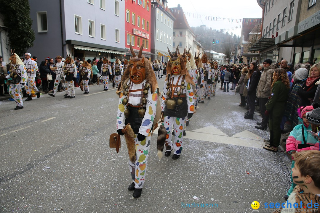 Tuttlinger Fasnetumzug: Tuttlingen am Bodensee, 10.02.2018