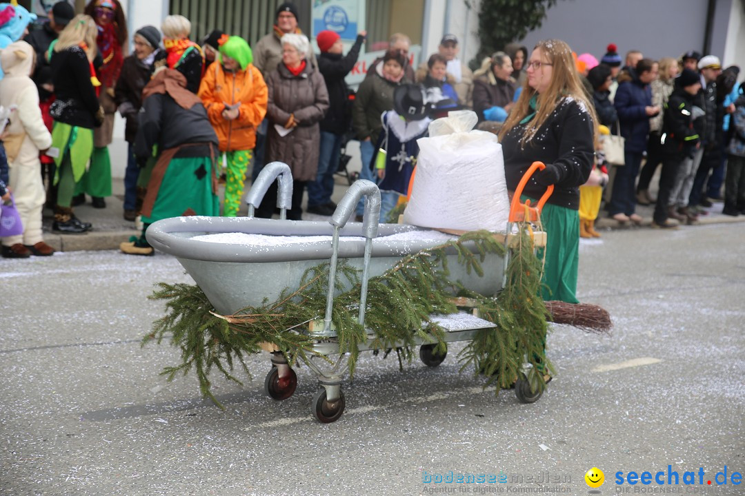 Tuttlinger Fasnetumzug: Tuttlingen am Bodensee, 10.02.2018