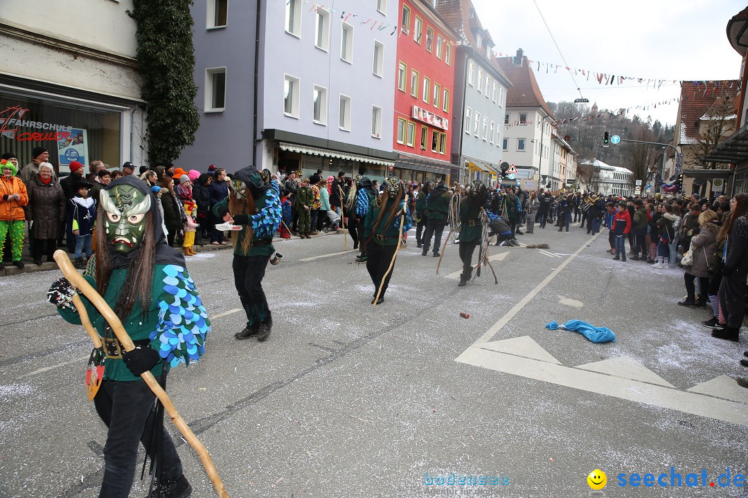 Tuttlinger Fasnetumzug: Tuttlingen am Bodensee, 10.02.2018