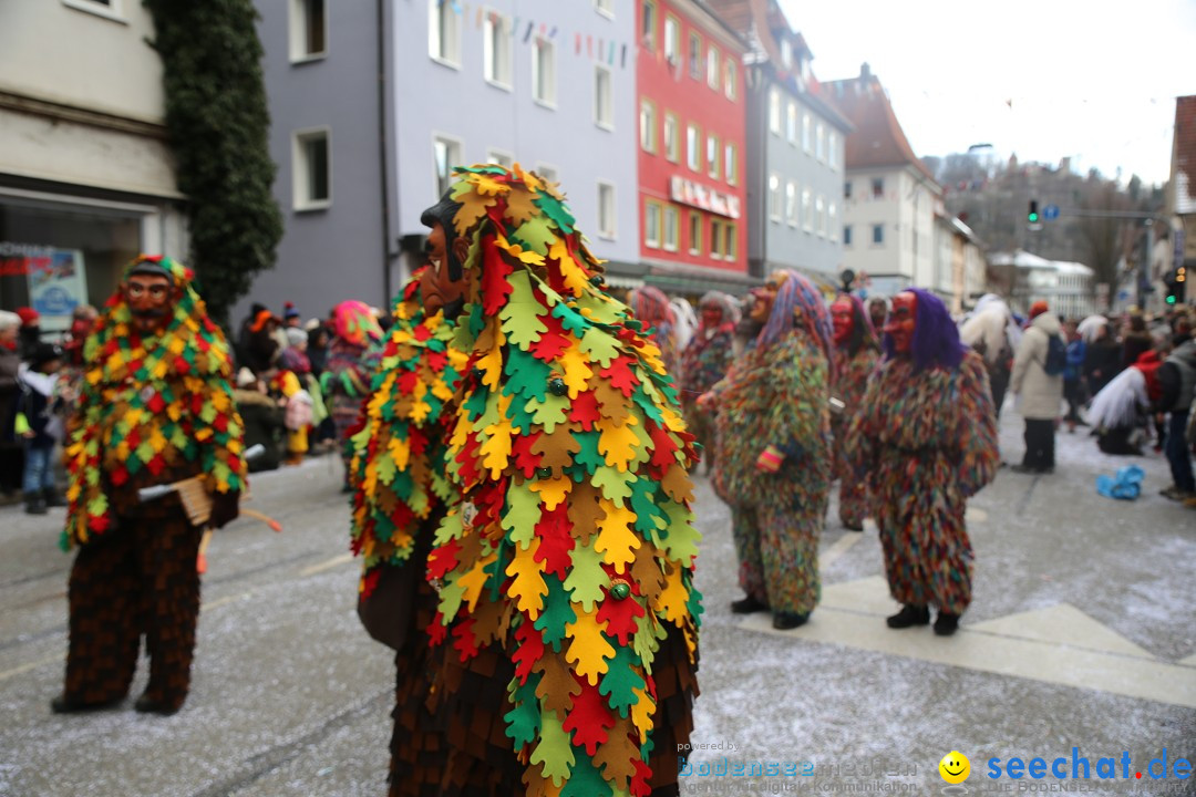 Tuttlinger Fasnetumzug: Tuttlingen am Bodensee, 10.02.2018