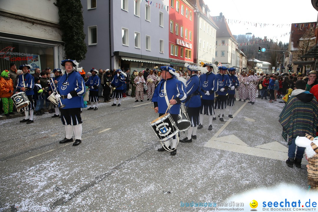 Tuttlinger Fasnetumzug: Tuttlingen am Bodensee, 10.02.2018