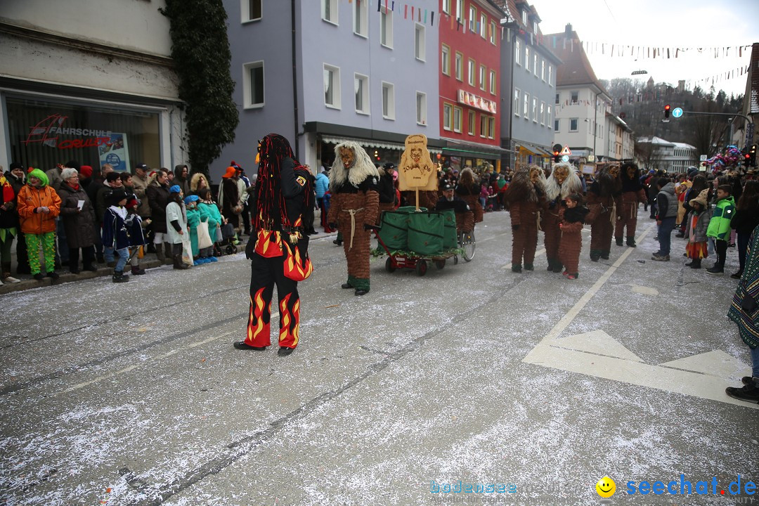 Tuttlinger Fasnetumzug: Tuttlingen am Bodensee, 10.02.2018