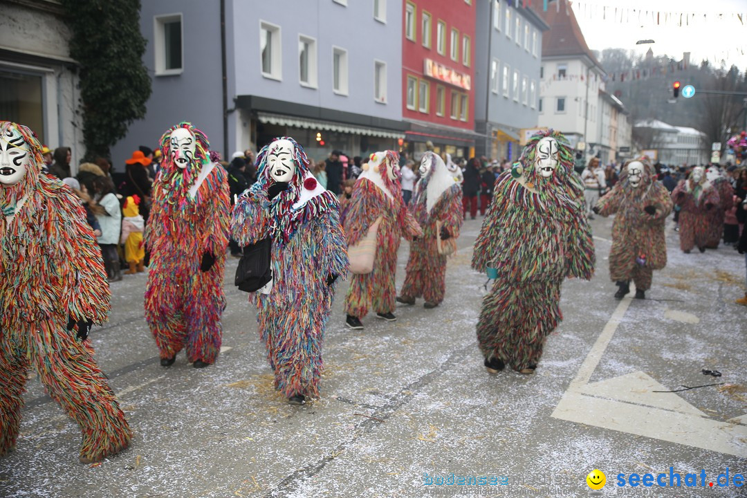 Tuttlinger Fasnetumzug: Tuttlingen am Bodensee, 10.02.2018