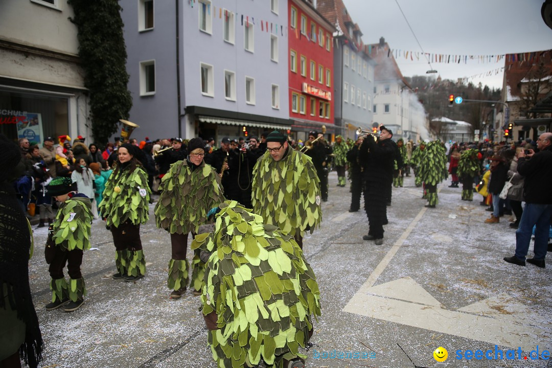 Tuttlinger Fasnetumzug: Tuttlingen am Bodensee, 10.02.2018