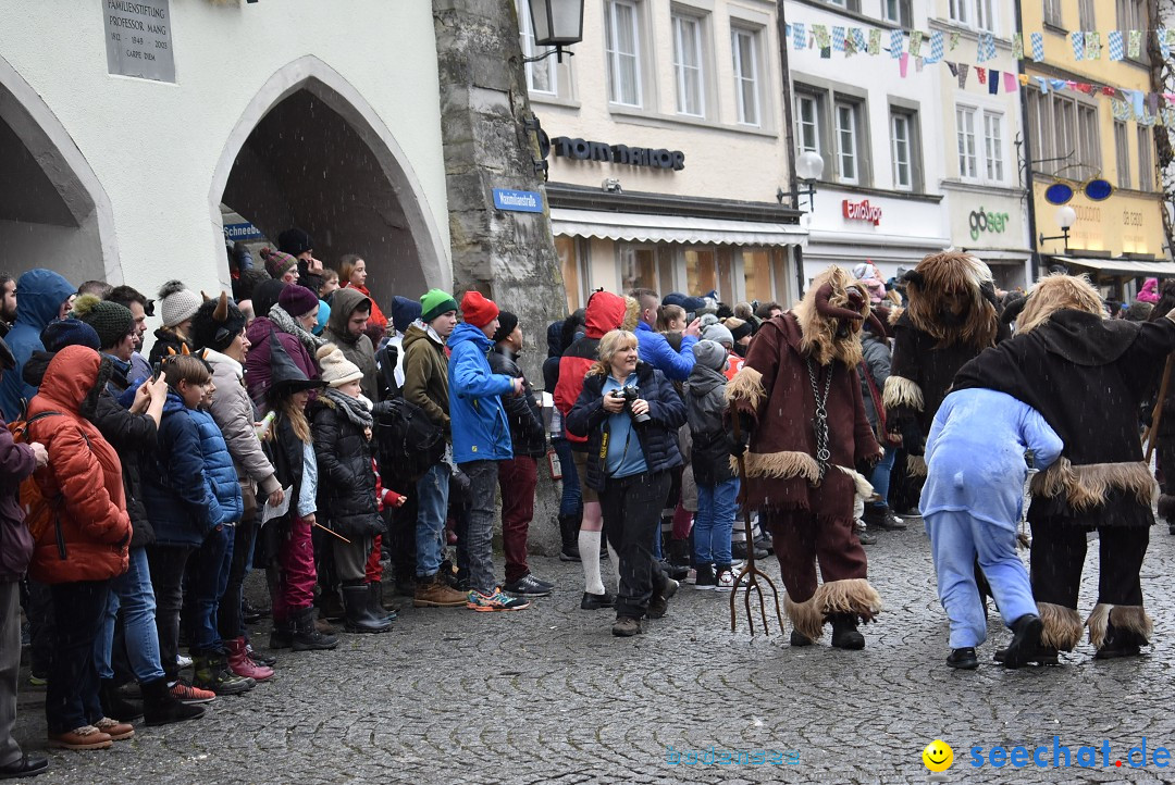 Fasnetsumzug - Narrensprung: Lindau am Bodensee, 11.02.2018
