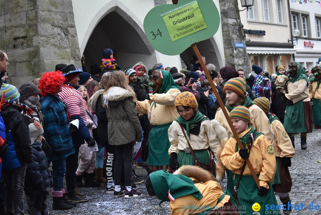 Fasnetsumzug - Narrensprung: Lindau am Bodensee, 11.02.2018