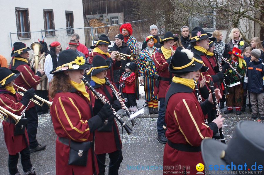 Umzug Seenarrentreffen: Liggeringen, 07.02.2010