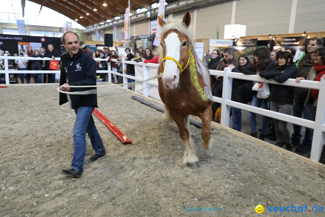 PFERD BODENSEE: Friedrichshafen am Bodensee, 17.02.2018