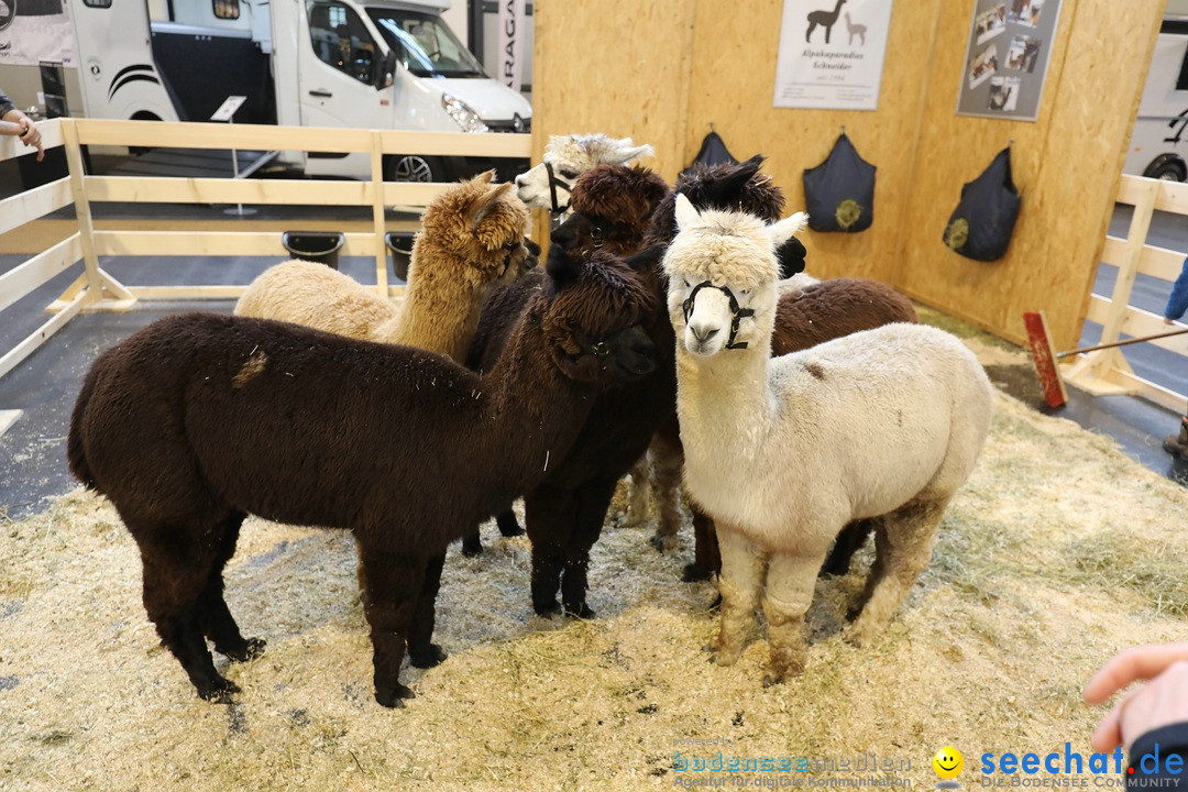 PFERD BODENSEE: Friedrichshafen am Bodensee, 17.02.2018
