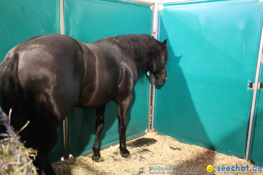 PFERD BODENSEE: Friedrichshafen am Bodensee, 17.02.2018