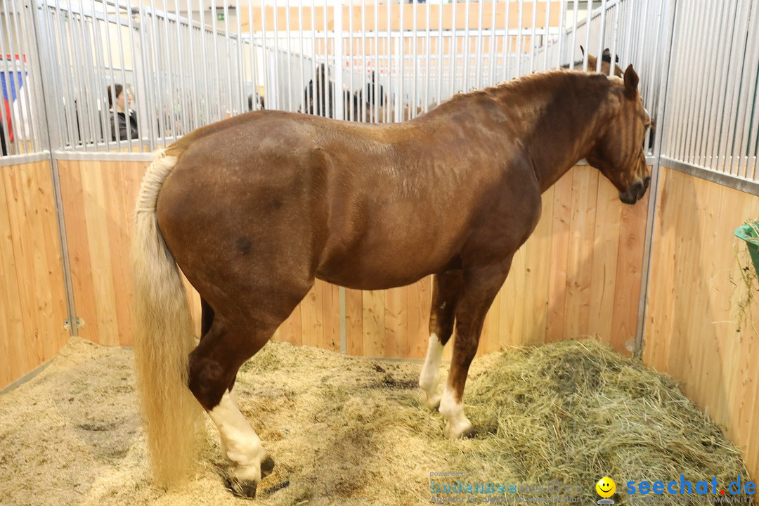 PFERD BODENSEE: Friedrichshafen am Bodensee, 17.02.2018