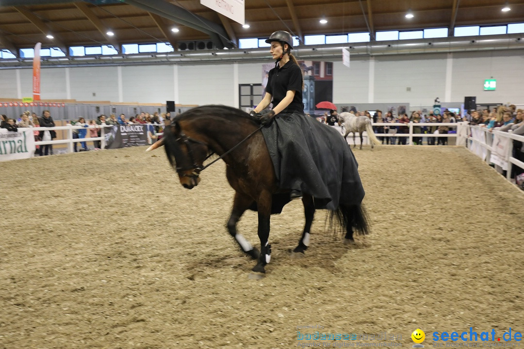PFERD BODENSEE: Friedrichshafen am Bodensee, 17.02.2018