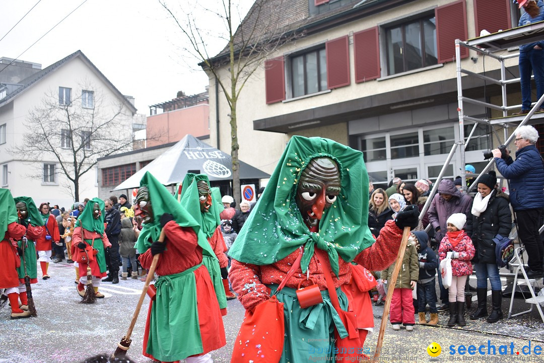 Fasnachtsumzug: Neuhausen - Schweiz, 18.02.2018