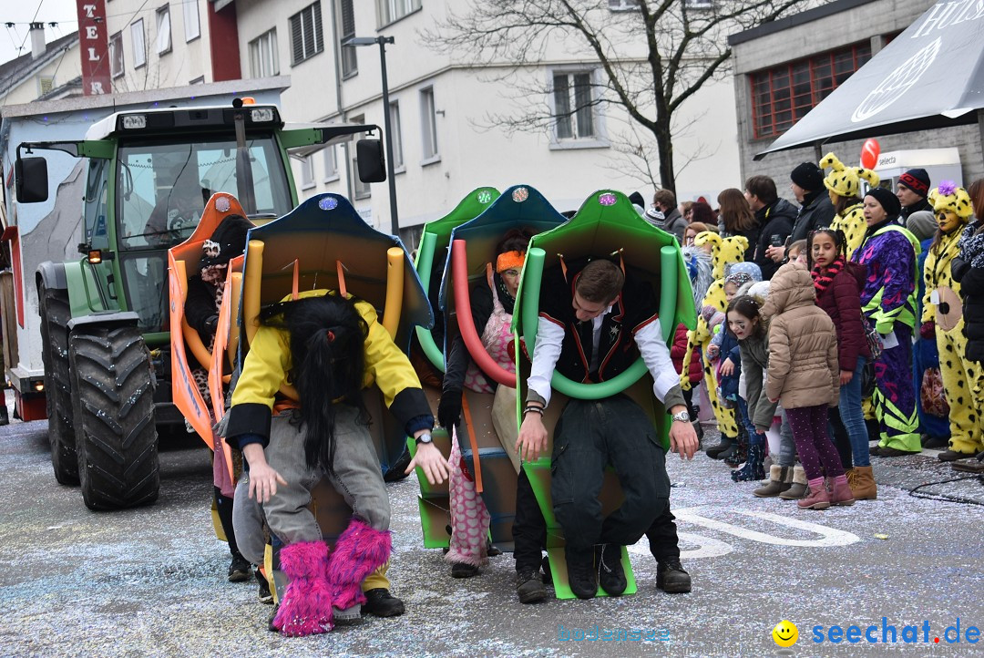 Fasnachtsumzug: Neuhausen - Schweiz, 18.02.2018