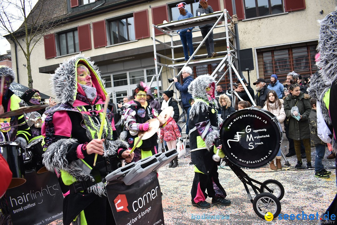 Fasnachtsumzug: Neuhausen - Schweiz, 18.02.2018