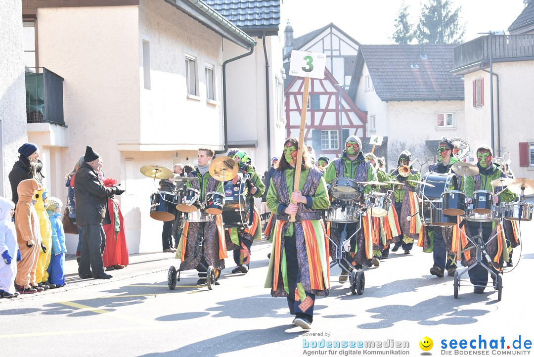 Fasnachtsumzug: Berlingen - Schweiz, 24.02.2018