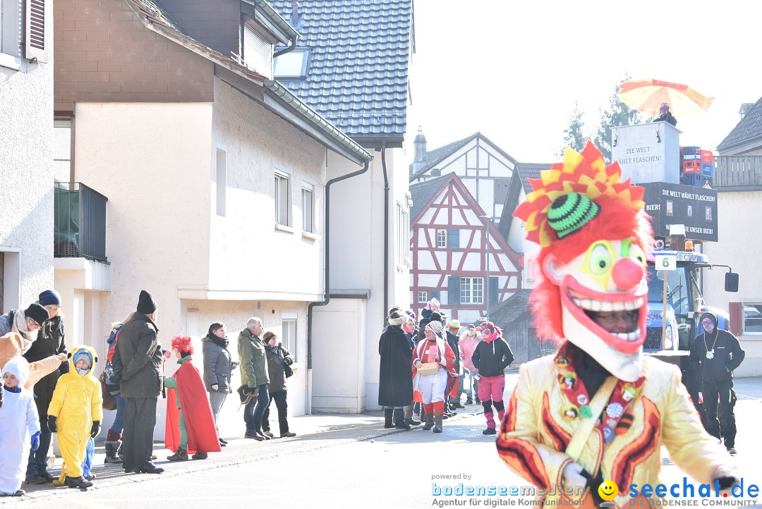 Fasnachtsumzug: Berlingen - Schweiz, 24.02.2018