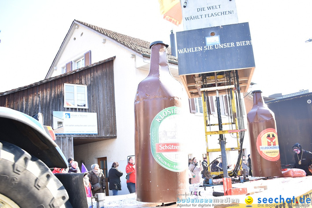 Fasnachtsumzug: Berlingen - Schweiz, 24.02.2018