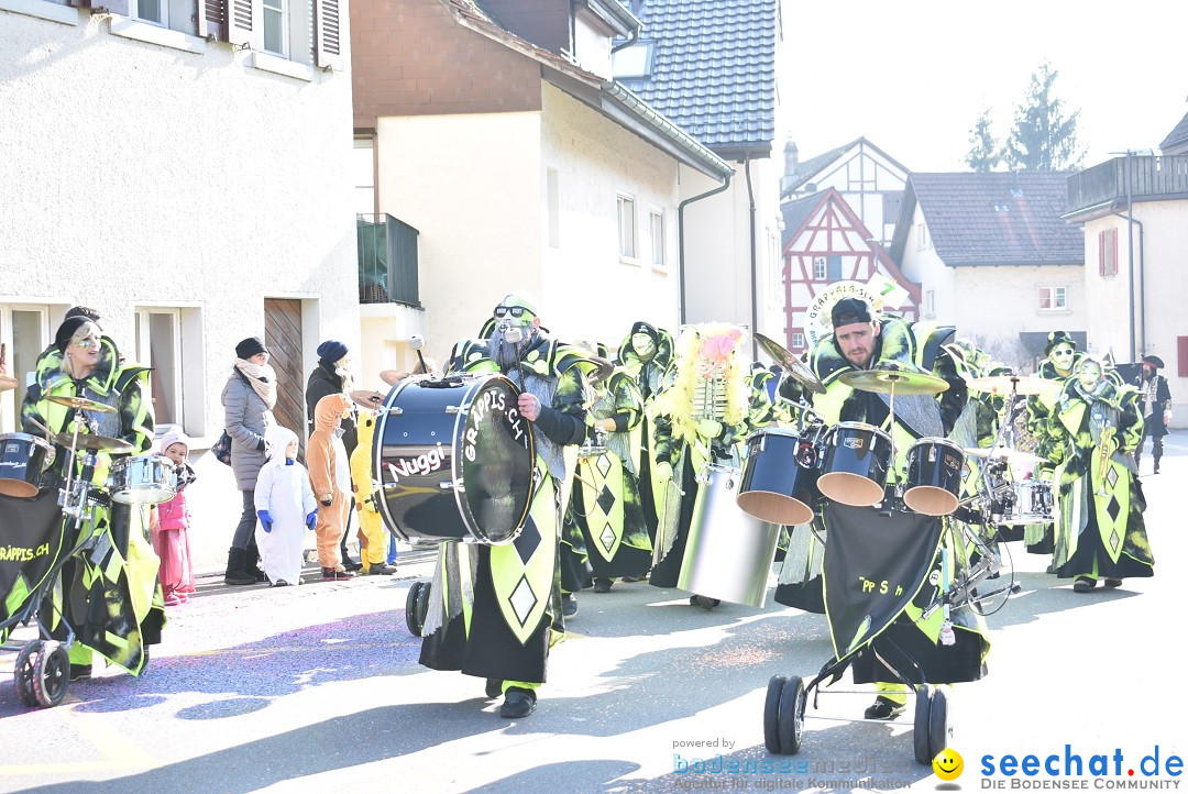 Fasnachtsumzug: Berlingen - Schweiz, 24.02.2018
