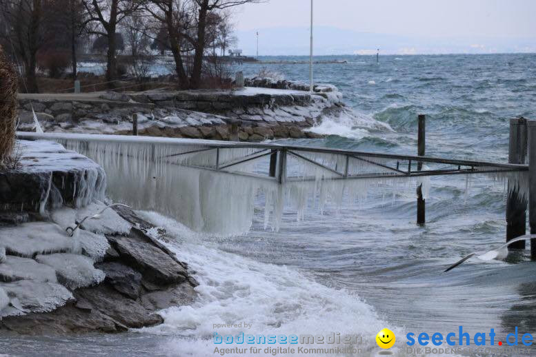 Kaeltefront-Rorschach-2018-02-27-Bodensee-Community-SEECHAT_CH-_19_