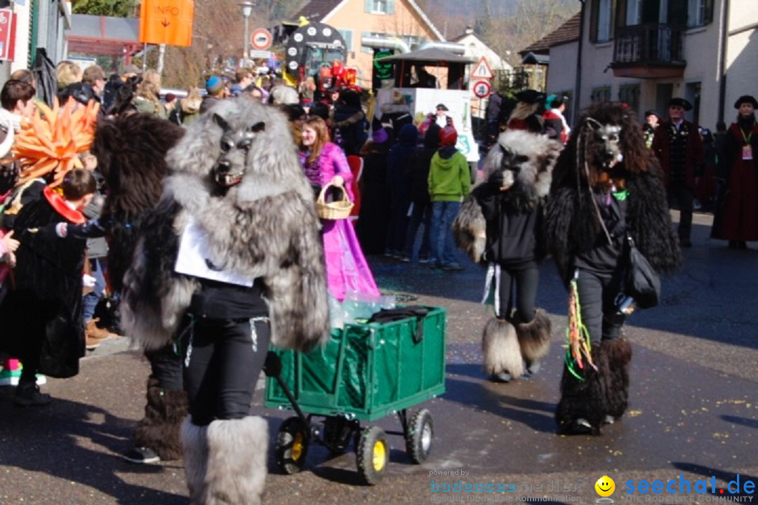 Fasnachtsumzug: Rorbas-Embrach - Schweiz, 04.03.2018